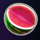 brilliant wilds watermelon symbol icon