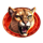 buffalo coin rush lion symbol icon