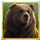 buffalo goes wild bear symbol icon