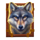 buffalo gold canyon wolf symbol icon