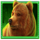 buffalo hunt bear symbol icon