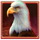 buffalo hunt eagle symbol icon