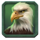 buffalo of wealth eagle symbol icon