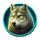 buffalo prime x unlock wolf symbol icon