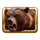 buffalo splash grizzly bear symbol icon