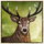 buffalo trail cash mesh link deer symbol icon