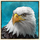 buffalo trail cash mesh link eagle symbol icon