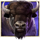 buffalo trail ultra buffalo symbol icon