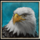 buffalo trail ultra powerpoints eagle symbol icon