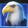 buffalo wealth eagle symbol icon