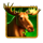 buffalo wilds symbol 4 icon