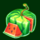 bulky fruits watermelon symbol icon