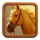 bullets for the bonus horse symbol icon