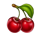 burning classics 5000 cherry symbol icon