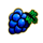 burning coins 20 grapes symbol icon
