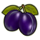 burning flower purple plums symbol icon