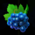 burning slots 100 grapes symbol icon