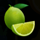 burning slots 100 lime symbol icon