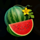 burning slots 100 watermelon symbol icon