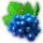 burning slots cash mesh grapes symbol icon