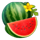 burning slots cash mesh link watermelon symbol icon