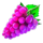 burning spins 243 grape symbol icon