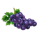 bursting crowns 5 grape symbol icon