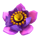 butterfly staxx powerpoints purple flower symbol icon