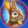 cai hong rabbit symbol icon