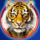 cai hong tiger symbol icon