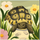 cape wins legends of the coastline turtle symbol icon
