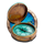 caribbean chests compass symbol icon