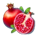caribbean crush fruit 2 symbol icon