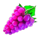 cash amplifier 243 grape symbol icon