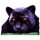 cash cats black panther symbol icon