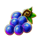cash eruption megajackpots grapes 1 symbol icon