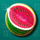 cash eruption watermelon symbol icon