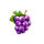 cash fortress grape symbol icon