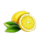 cash fortress lemon symbol icon