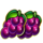 cash strike grapes symbol icon