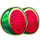 cash strike triple fire watermelons symbol icon