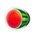 cashin reels watermelon symbol icon