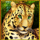 cats royal jaguar symbol icon