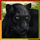 cats royal panther symbol icon