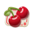 catsino royale cherry symbol icon