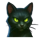cauldron of cash cat symbol icon