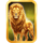 celestial revolutions leo symbol icon