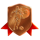champions of the spin medal symbol icon
