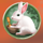 change goddess of the moon rabbit symbol icon