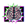 chaos crew brain symbol icon